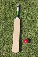 Image result for Cricket Equipment