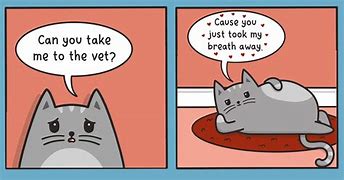 Image result for Valentine Cute Cat Puns