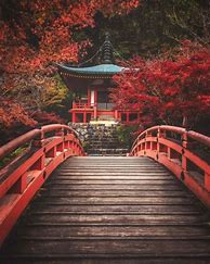 Image result for Ancient Japanese Aesthetic