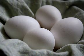 Image result for 4 Eggs