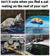 Image result for Pet the Car Meme
