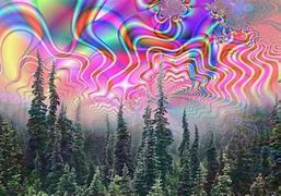 Image result for Psychedelic Memes