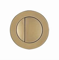 Image result for Toilet Button Brushed Bronze