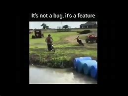 Image result for Bug/Feature Meme