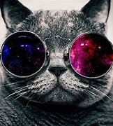 Image result for Hipster Black Cat