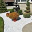 Image result for Side Yard Landscaping with Rocks