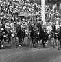 Image result for Harness Racing North Ireland