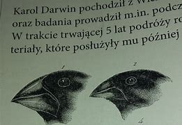 Image result for co_oznacza_zięby_darwina