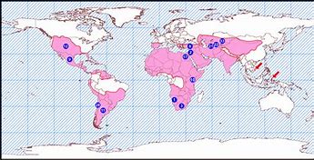 Image result for Camel Spider Range Map