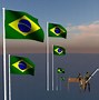 Image result for Brazil National