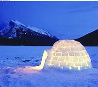 Image result for Real Igloo