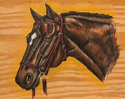 Image result for Thoroughbred Horse Drawing