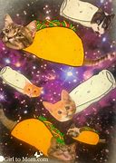 Image result for Taco Cat Galaxy