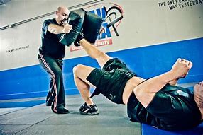 Image result for Krav Maga Self-Defense Moves