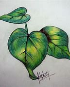 Image result for Leaf Wealth Design with Pencil