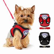 Image result for Small Dog Leash Hook