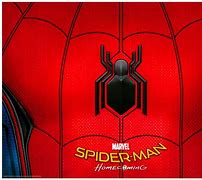 Image result for Spider-Man Chest Logo
