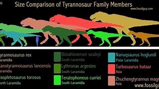 Image result for Tyrannosaurus Dinosaur List