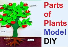Image result for Make a Plant Model