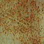 Image result for Pitting Corrosion