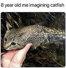 Image result for Catfishing Meme