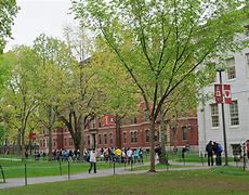 Image result for Harvard University Business School