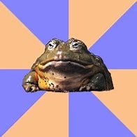 Image result for Fat Toad Meme