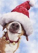 Image result for cute dogs meme christmas
