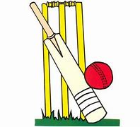 Image result for Cricket Stumps On White Backgrounds