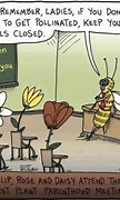 Image result for Bee Safe Funny