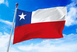 Image result for Flag of Chile