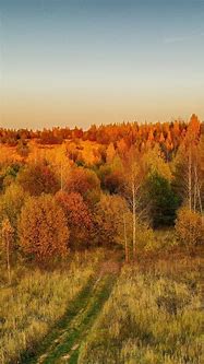 Image result for Lumia Wallpaper Fall