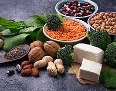 Image result for Veg Protein Sources