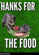 Image result for Thanks Dawg Meme