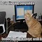 Image result for Hard Working Cat Meme