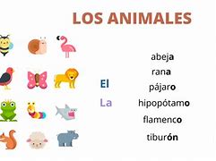 Image result for Los Animales En Español
