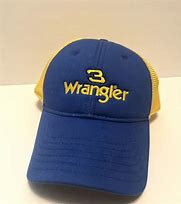 Image result for Dale Earnhardt in Car Wearing Wrangler Hat