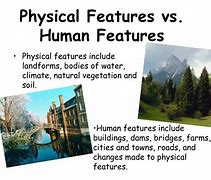 Image result for Physical Features of Human