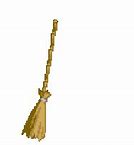 Image result for Witches Broom GIF