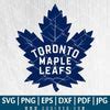 Image result for Toronto Maple Leafs History