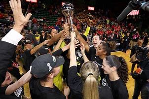 Image result for WNBA Seattle Storm