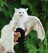 Image result for Savage Wilds Albino Bat Locations