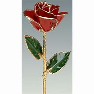 Image result for 24 Karat Gold Dipped Rose