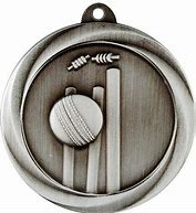 Image result for Cricket Trophy Medal