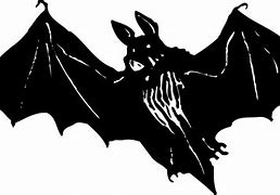 Image result for Scary Bat Graphic Pictures