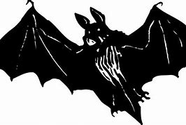 Image result for White Scary Bat
