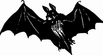 Image result for Creepy Bat Cartoon