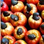 Image result for Death by Apple Seeds