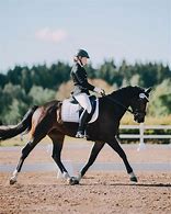 Image result for Dressage Horse Photography