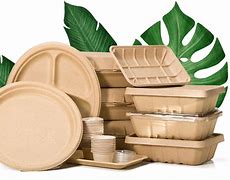 Image result for Biodegradable Paper Products